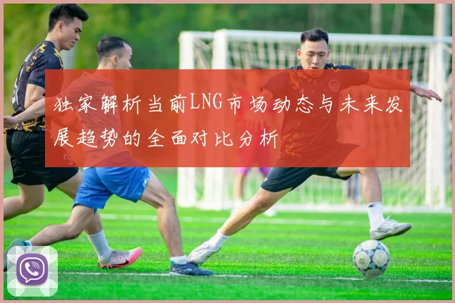 独家解析当前LNG市场动态与未来发展趋势的全面对比分析