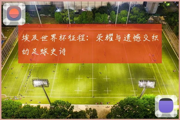 埃及世界杯征程：荣耀与遗憾交织的足球史诗